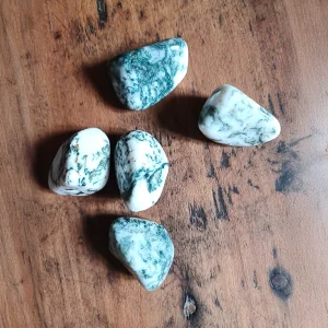AGATE ARBRE