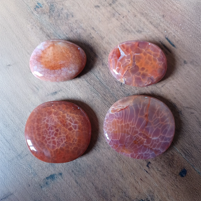 AGATE FEU