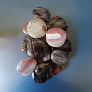 BOIS FOSSILE