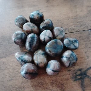 CHIASTOLITE