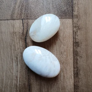 SCOLECITE